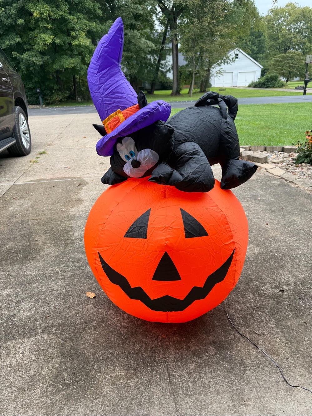 Vintage Gemmy 4 Ft Tall Cat on Pumpkin Airblown Halloween Inflatable 2005
